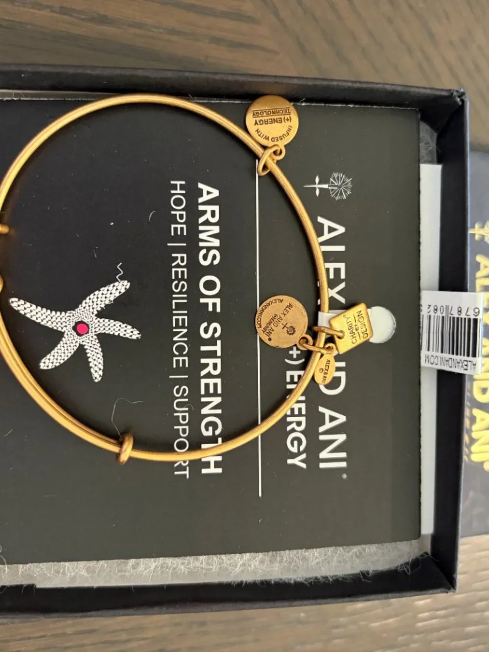 Alex and Ani gold alex